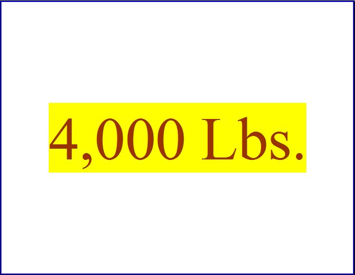 4000 Lbs.jpg